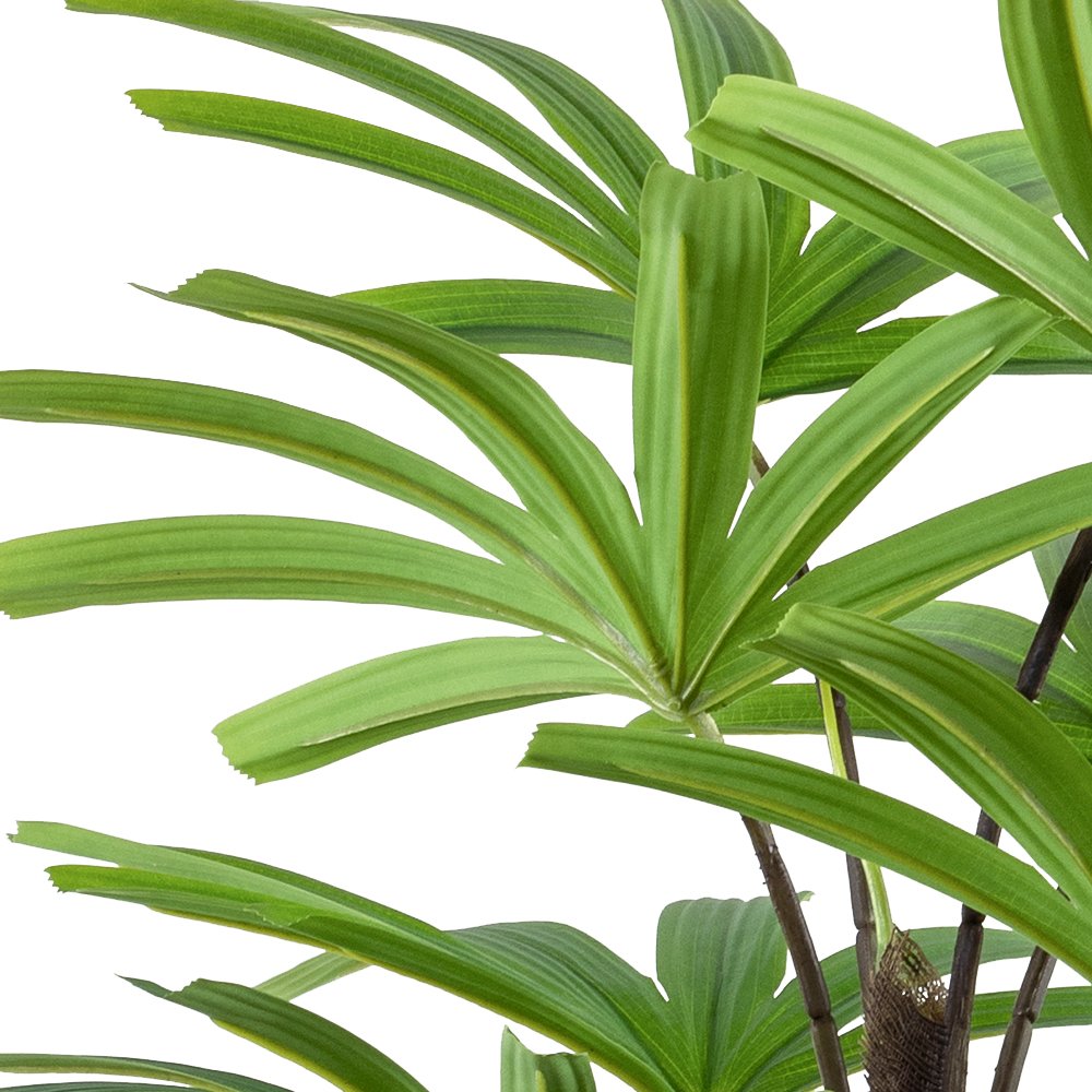 Faux Rhapis Palm Staging - Natural Partition Idea Luxury artificial bamboo palm trees used as a natural indoor privacy screen for professional office and hotel interiors