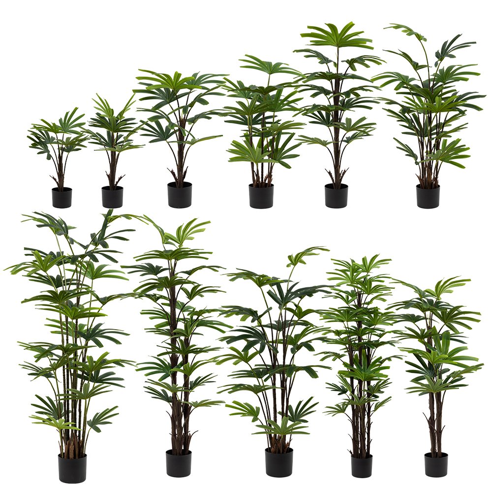 Bamboo Palm (Rhapis Palm) Size Comparison Chart Complete size chart of Senaiyu artificial bamboo palm trees ranging from 65cm to 200cm for wholesale and commercial projects.